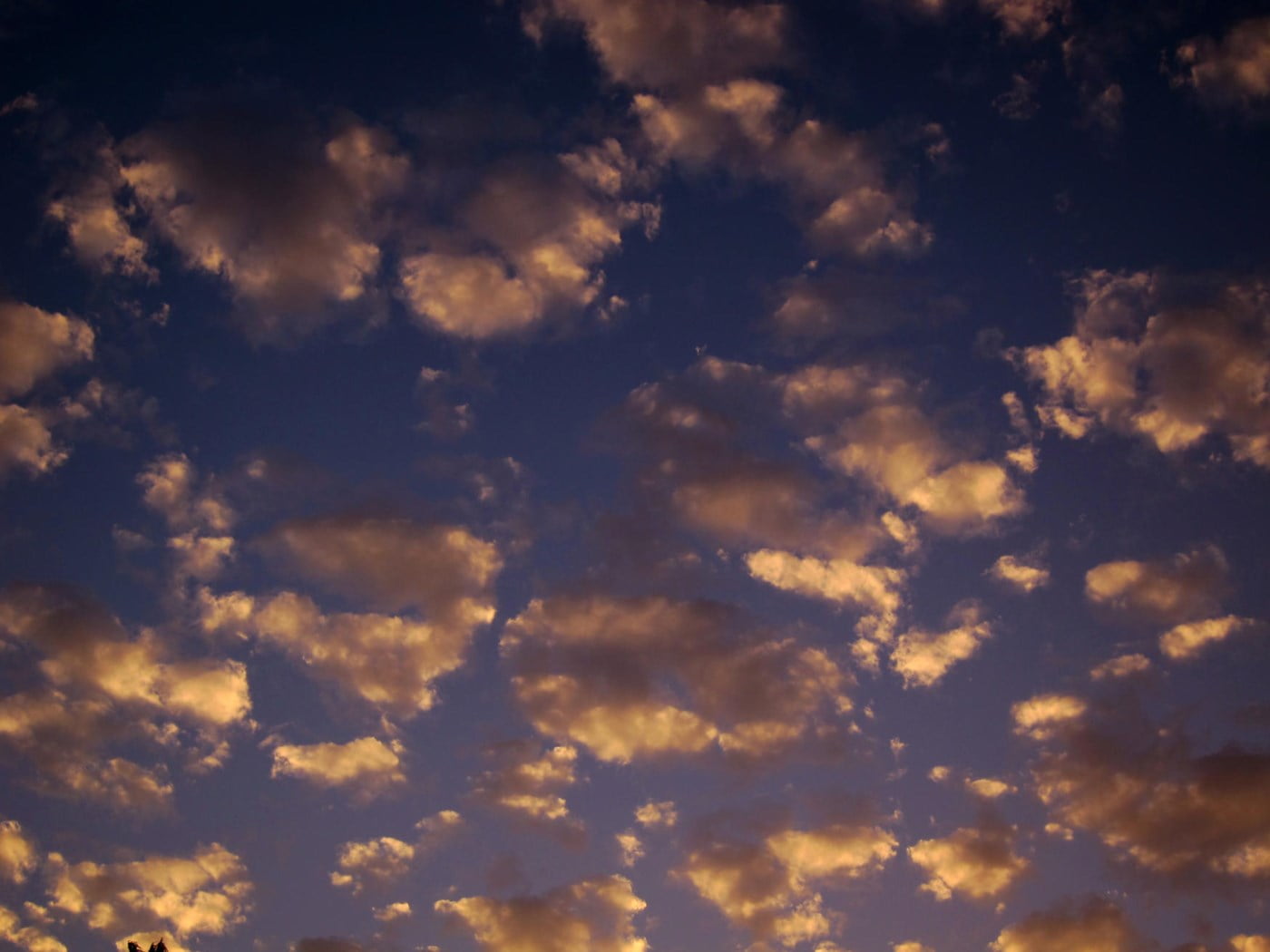 Små oransje skyer på en blå himmel. foto